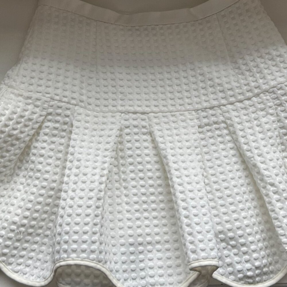 Sachin and Babi skirt
